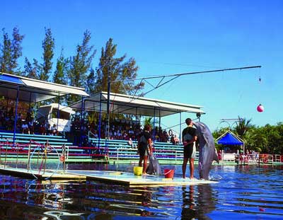 Delfinarium Varadero